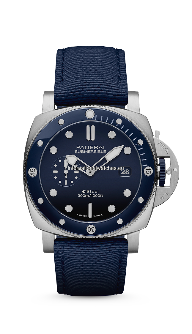 PAM01289