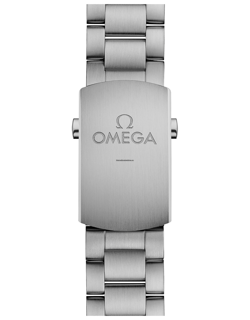 Seamaster Planet Ocean 600M 39.5 mm, steel on steel - 215.30.40.20.01.001