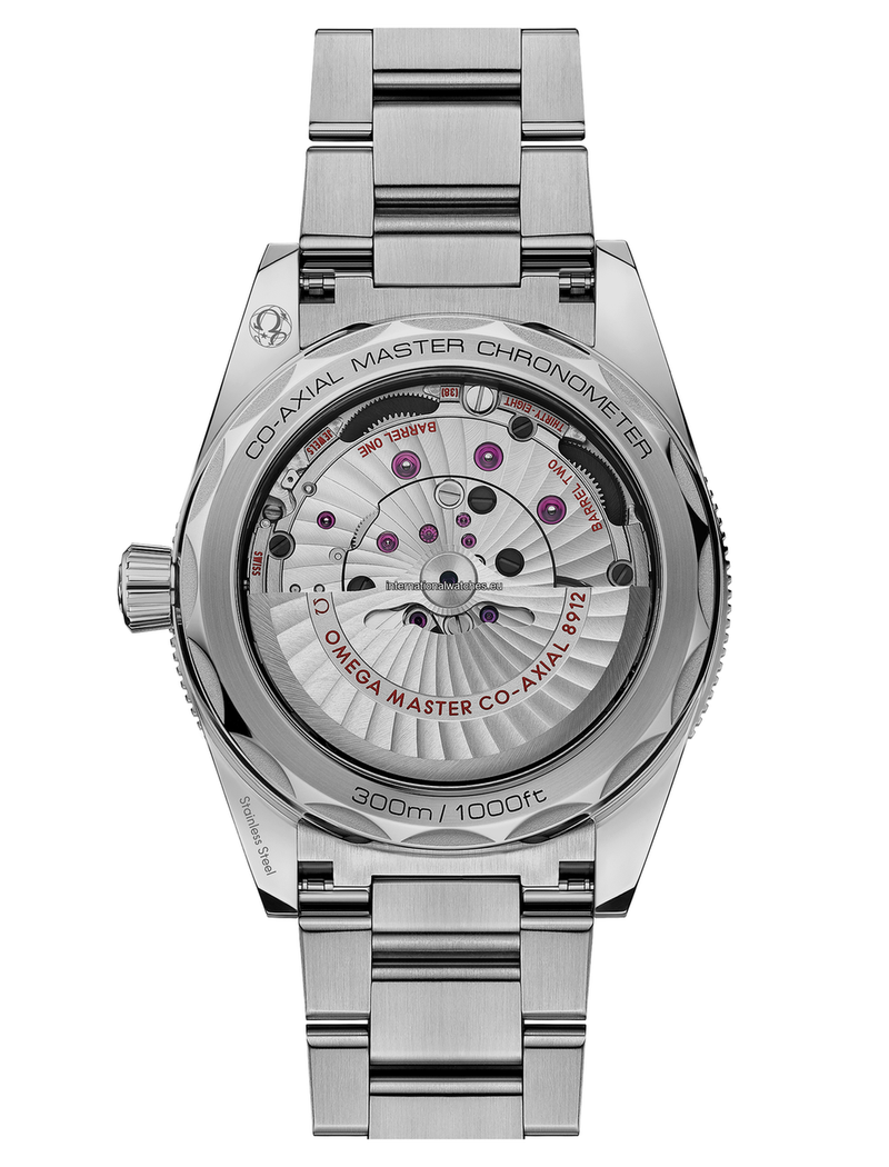Seamaster 300 41 mm, steel on steel - 234.30.41.21.01.001