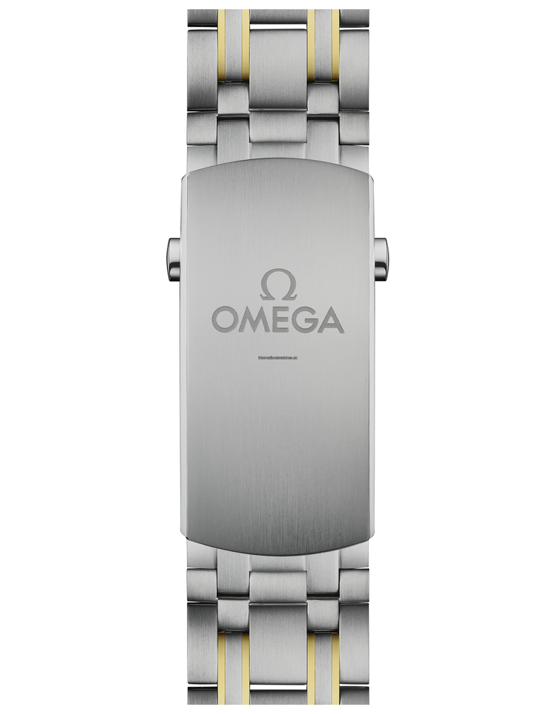 Seamaster Diver 300M Omega Co-Axial Master Chronometer 42 mm - 210.20.42.20.01.002