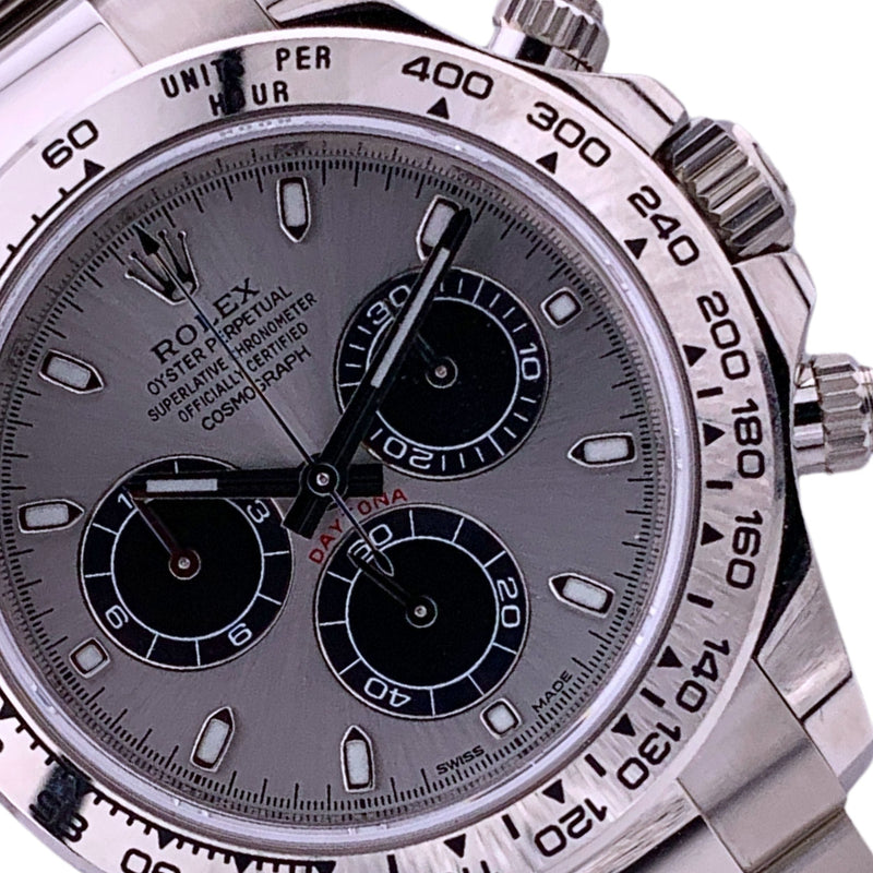 116509 NEW 2024
