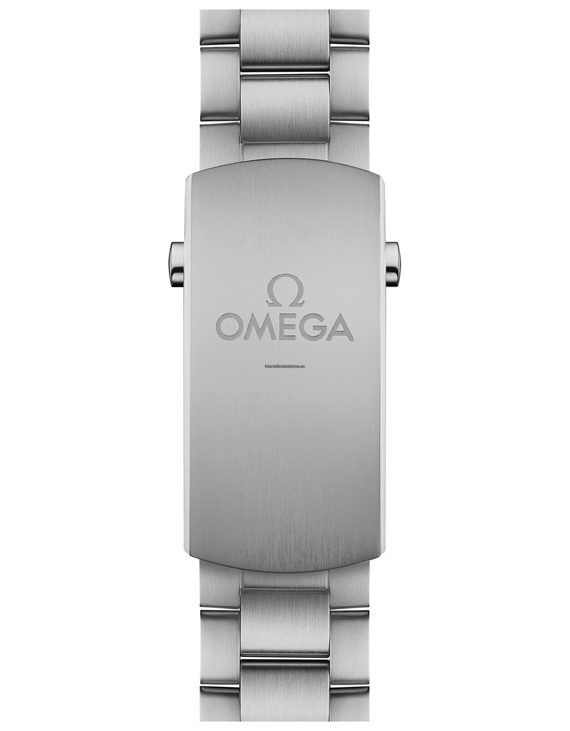Seamaster Planet Ocean 600M 43.5 mm, steel on steel - 215.30.44.22.01.001