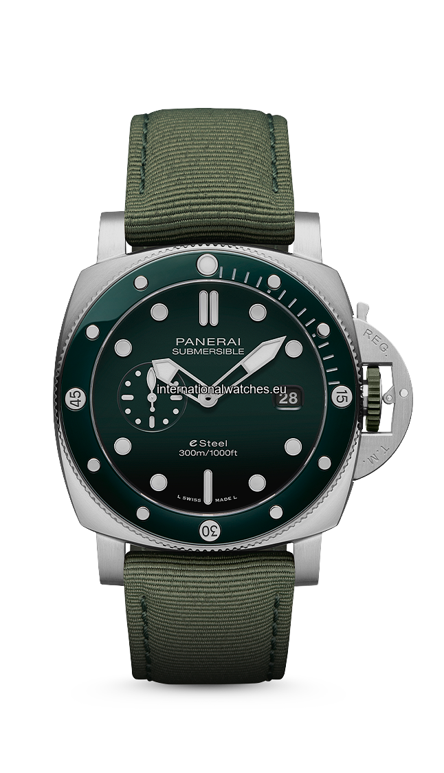 PAM01287