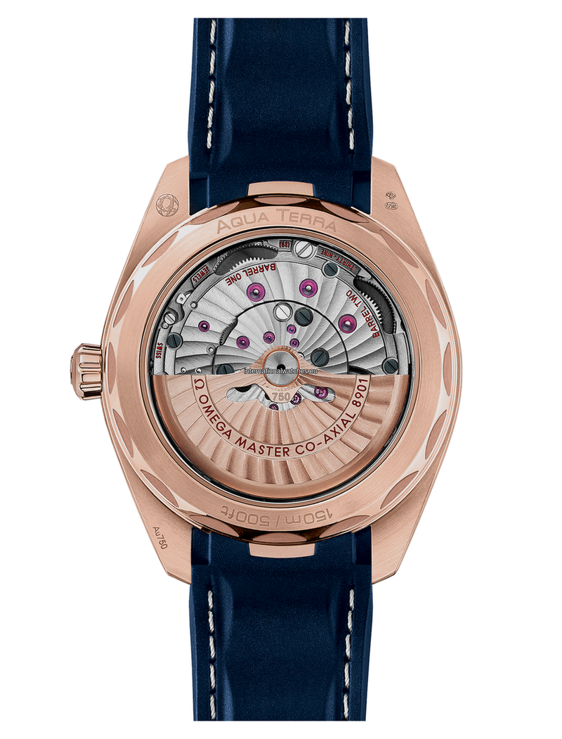 Seamaster Aqua Terra 150M Omega Co-Axial Master Chronometer 41 mm - 220.52.41.21.03.001